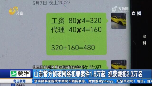 “净网2023”专项行动成效显著!山东共侦破网络犯罪案件1.6万起