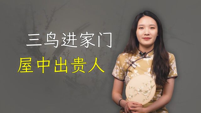 “三鸟进家门,屋中出贵人”,是哪三鸟?你家有吗?