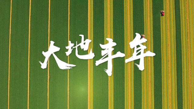 中国农民丰收节 梵曲配音