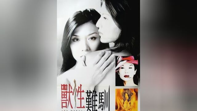 绝版港片下