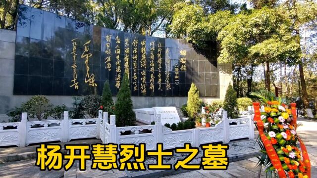 拜谒毛主席夫人杨开慧之墓,岸英岸青陪伴伟大母亲左右,感恩先烈