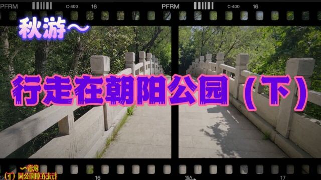 秋游~行走在朝阳公园(下)