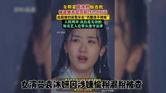 袁冰妍涉嫌偷税漏税被查