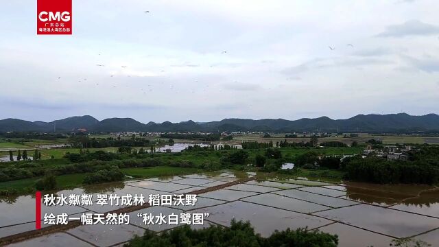 “中华慈善奖”获得者、“广东好人”关杰初热心捐建江门小学