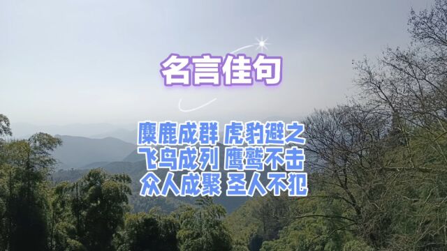 麋鹿成群 虎豹避之 飞鸟成列 鹰鹫不击 众人成聚 圣人不犯