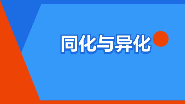 “同化与异化”是什么意思?