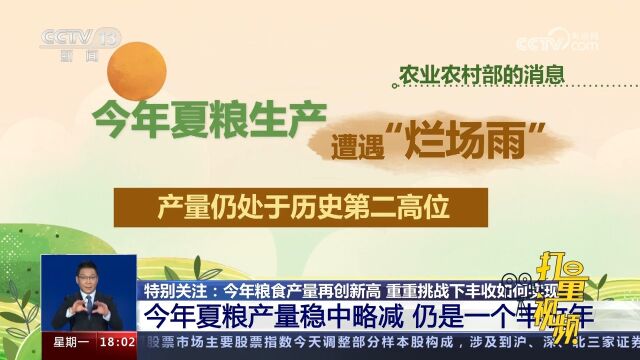 2023年夏粮产量稳中略减,仍是一个丰收年