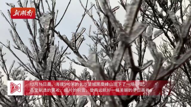 长沙黑麋峰迎来今冬首场降雪