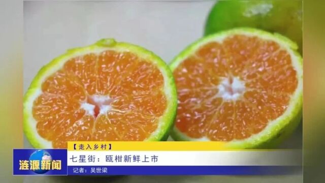 走入乡村丨七星街:瓯柑新鲜上市