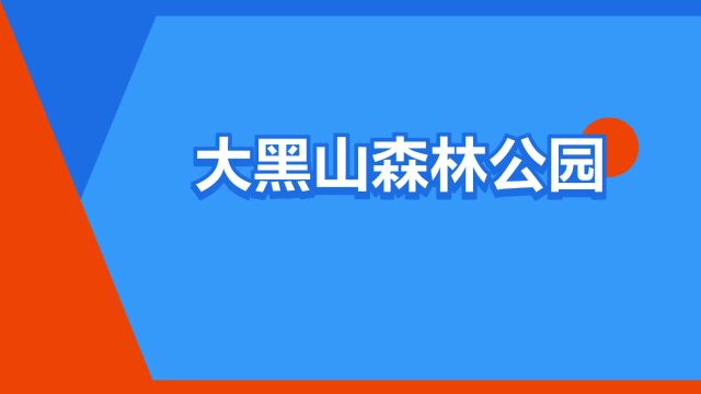 “大黑山森林公园”是什么意思?