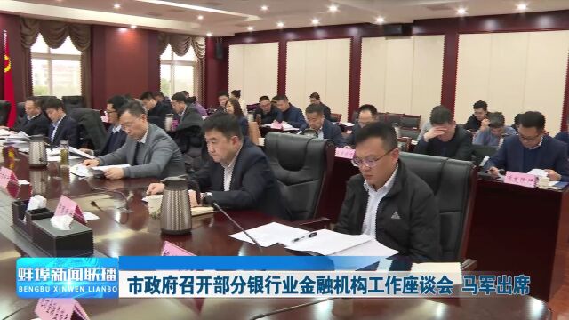 市政府召开部分银行业金融机构工作座谈会 马军出席