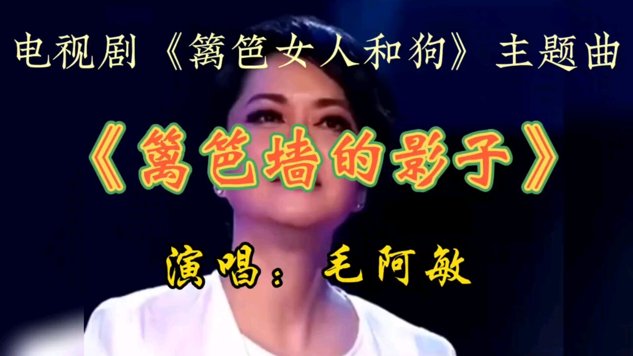 女人篱笆墙和狗演员表图片