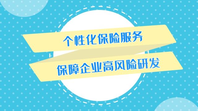 6、个性化保险服务保障企业高风险研发