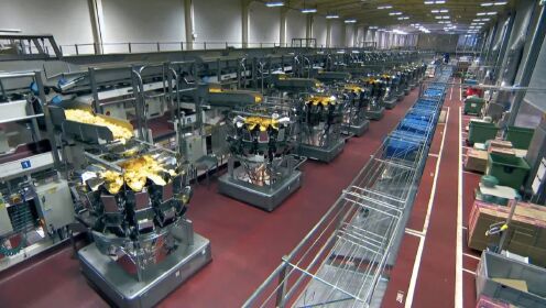 法国薯片超级工厂，用这个方法，每天可以生产600万包薯片