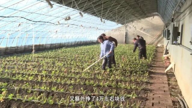 专题【乡村振兴进行时】深耕细作 率先实现现代农业新突破