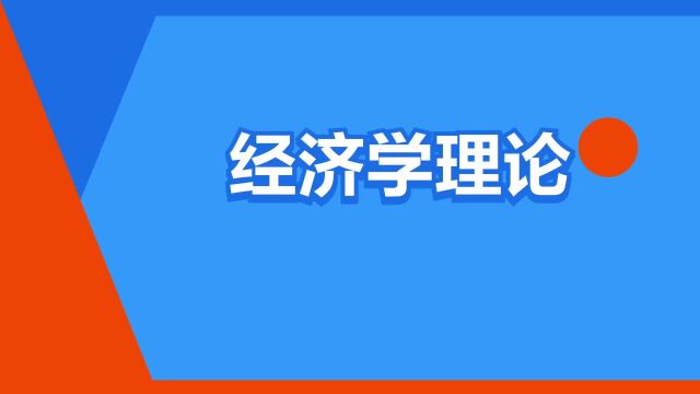 “经济学理论”是什么意思?