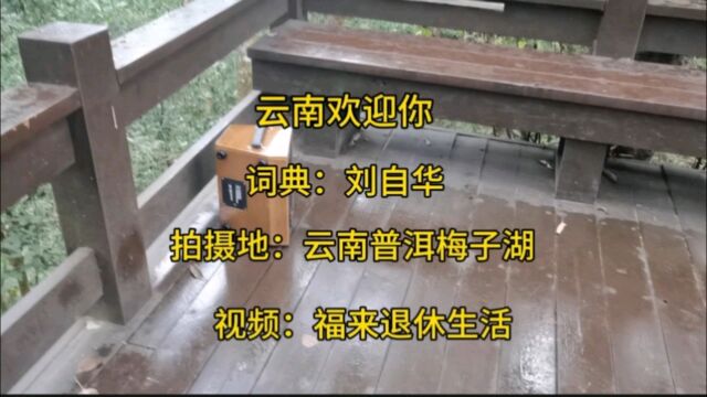 高手在民间(云南欢迎你)云南普洱梅子湖公园