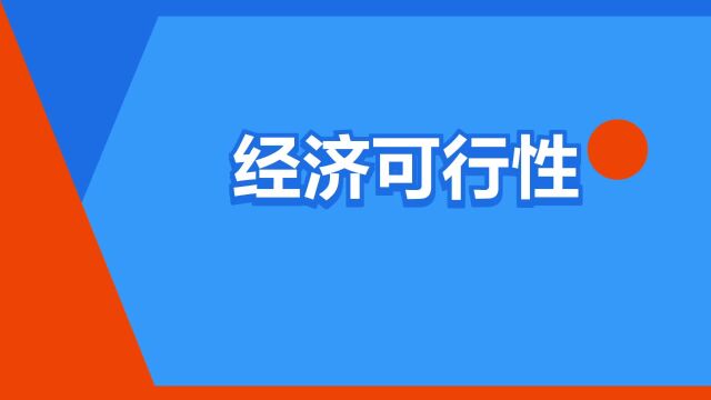 “经济可行性”是什么意思?