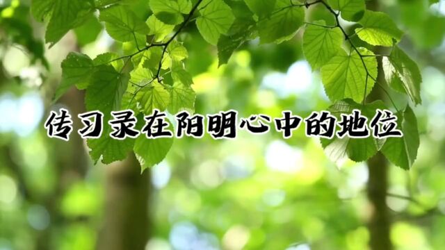 传习录王阳明哲学思想的探究二,第1小段