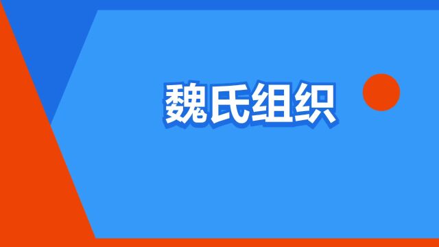 “魏氏组织”是什么意思?