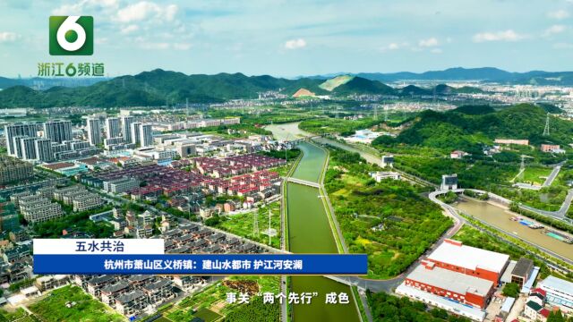 杭州市萧山区义桥镇:建山水都市 护江河安澜