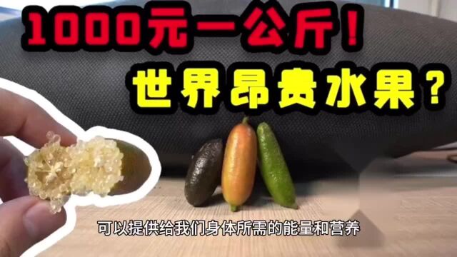 【指橙】味道口感和作用