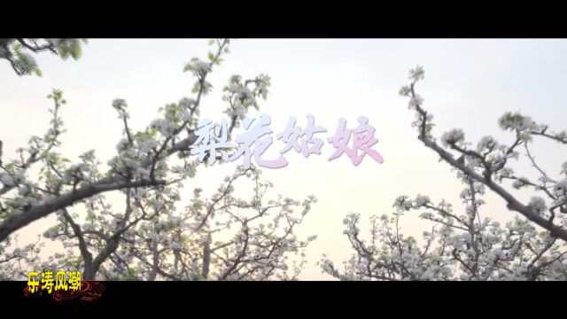 歌曲《梨花姑娘》