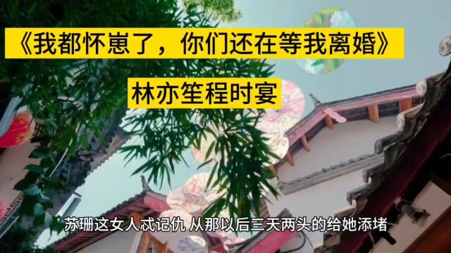 《我都怀崽了,你们还在等我离婚》林亦笙程时宴&完结无删减