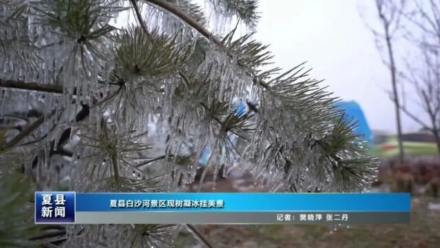 夏县白沙河景区现树凝冰挂美景