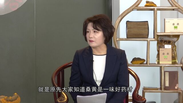 12.19《养生大国医》桑黄是怎么种出来的?如何确保它的品质?