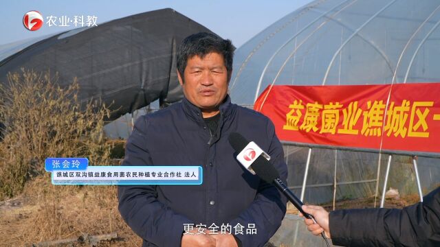 谯城区双沟镇益康食用菌农民专业合作社—特色农业 带动乡村振兴