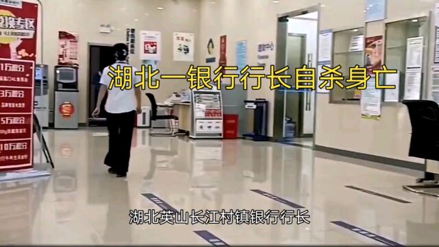 湖北英山长江村镇银行行长王某勇自杀身亡,引发社会广泛关注.