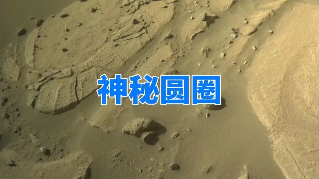 火星车发现圆圈结构,疑似火星生物化石,地外生命有戏了? #火星 #太空 #宇宙 上