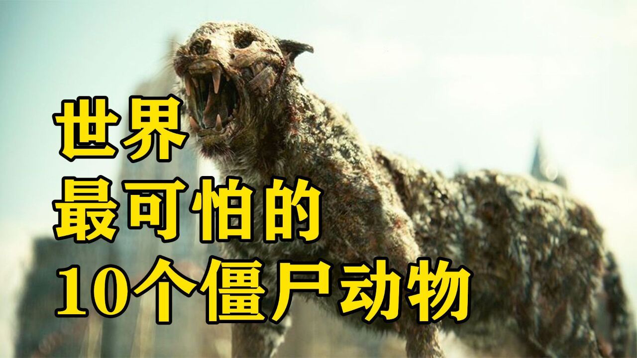 鬼最害怕的动物