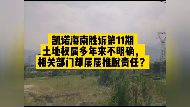 凯诺胜诉案例第11期 土地权属多年不明 终取得一定胜利