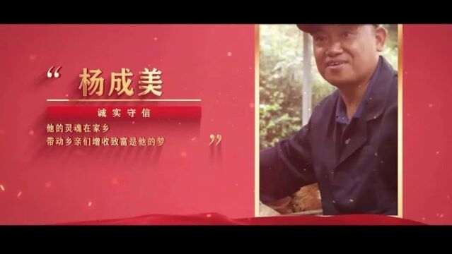 身边的榜样|诚实守信之——杨成美