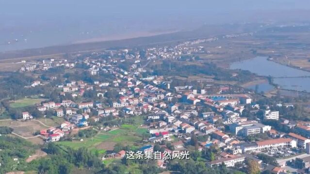 岳阳市公路系统“最美公路”“最美公路站”“最美公路人”评选——云溪篇