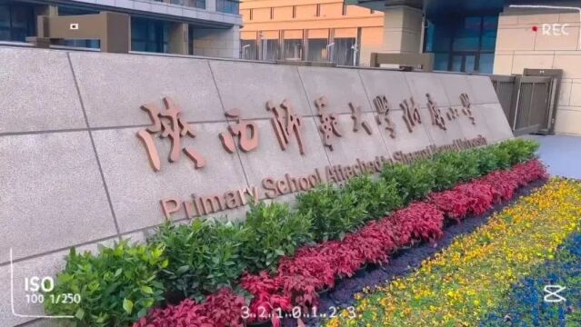 让教育自然发生—2023师大附小奇趣自然社团回顾