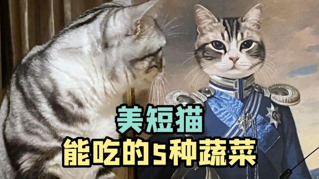 美短猫能吃的5种蔬菜,你都知道那些?