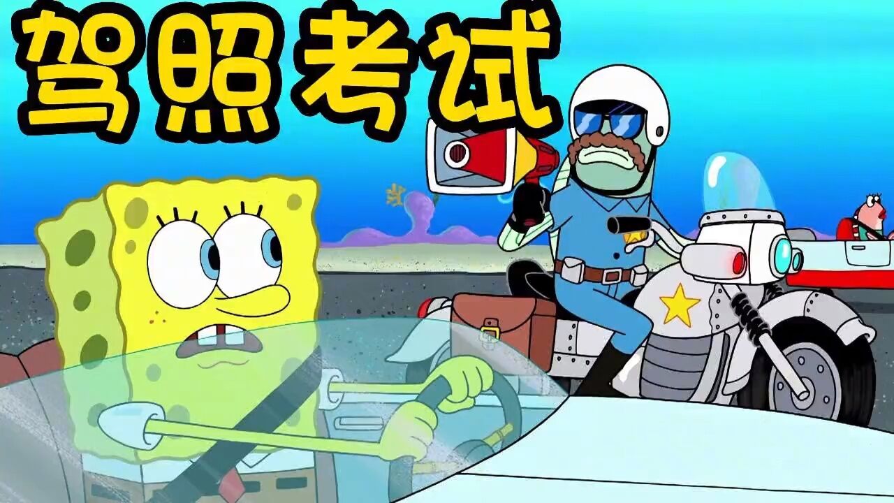 又到了考驾照的日子,海绵宝宝真的拿到驾照了么?