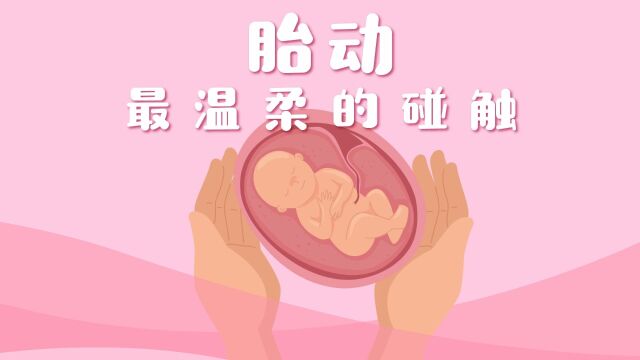 胎动—最温柔的碰触