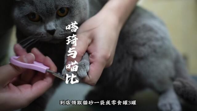 嗒琦与喵比,爱宠好伴侣,家有爱宠的宝子们,可以安排啦! #猫咪洗护#宠物洗澡#嗒琦与喵比