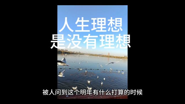 人生理想是没有理想