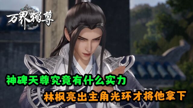 万界独尊:神碑天尊究竟有什么实力?林枫亮出主角光环才将他拿下!