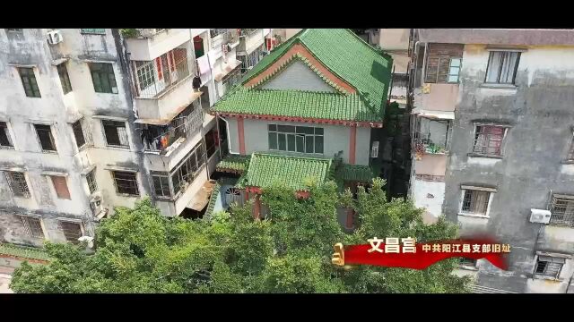 中国农业发展银行阳江市分行《红色旗帜》