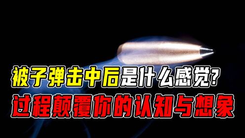 被子弹击中后是什么感觉,这过程将颠覆你的认知与想象!_高清1080P在线观看平台_腾讯视频