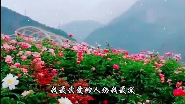 经典音乐风景