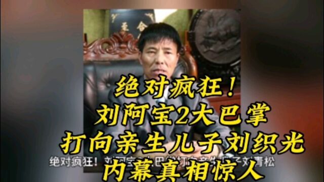 绝对疯狂!刘阿宝2大巴掌打向亲生儿子刘织光,内幕真相惊人