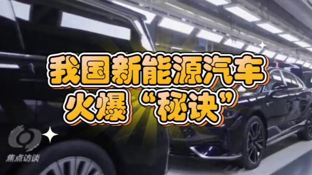 新技术不断突破!我国新能源汽车凭啥火? | 焦点访谈