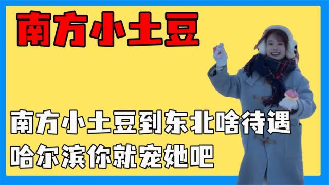 南方小土豆到东北啥待遇,哈尔滨你就宠她吧,本地人看的直眼红